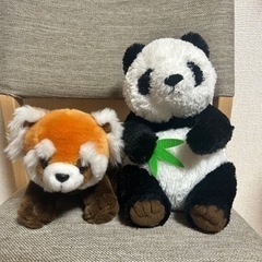 パンダとレッサーパンダのぬいぐるみ
