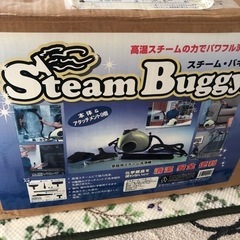 Steam buggy  スチーム バギー5000→4000円の画像