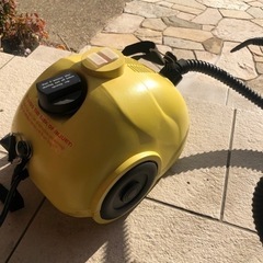 Steam buggy  スチーム バギー5000→4000円の画像