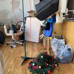 クリスマスツリーの画像