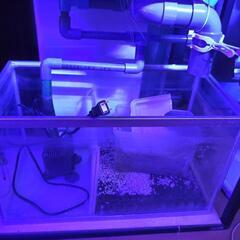 30キューブX２　OF水槽
