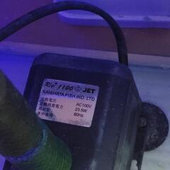 30キューブX２　OF水槽の画像