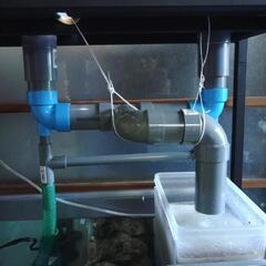 30キューブX２　OF水槽の画像