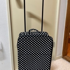 軽量2輪ドット柄ソフトキャリーバッグ
