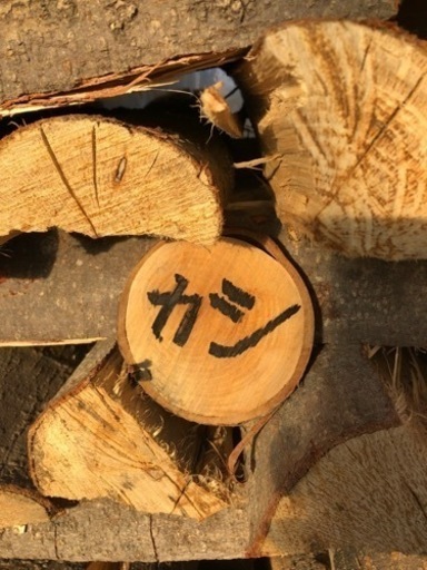 カシ乾燥薪⭐︎長さ約360mm☆ビニールハウス乾燥⭐︎軽トラック一杯30000円