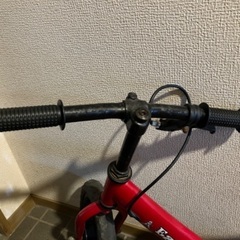 ペダルなし自転車　Easy Gliderの画像