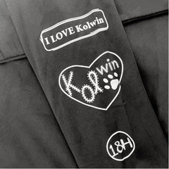 【美品】Kolwin インナーの画像