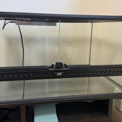 爬虫類飼育セット