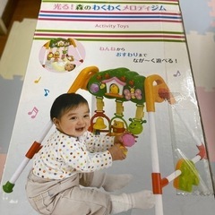 メロディジム