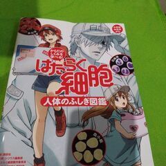 はたらく細胞