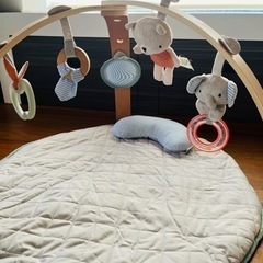 ベビージム　インジェニュイティ Ingenuity 
