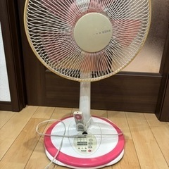 EUPA 扇風機TK-F1204R-Pの画像