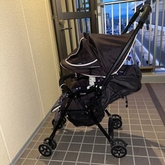 コンビ•バギーの画像