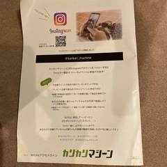 ペット　タイマー式自動給餌器（未使用）の画像