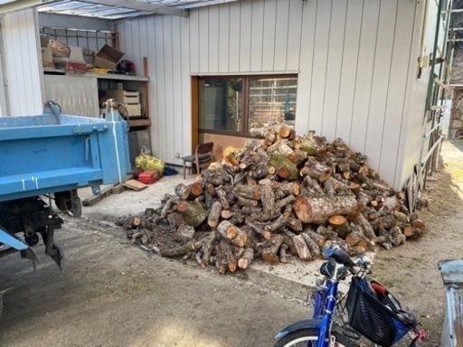 梨の木　薪　玉切り
