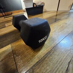 ダンベル 2個セット 10kg