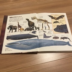 学研の図鑑　動物の画像