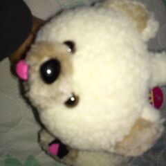 クマちゃんのイヤーマフの画像