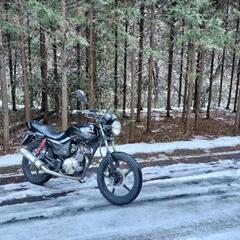 ⭐YBR125⭐通勤車の画像