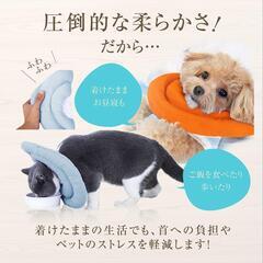 エリザベスカラー　オレンジ　Sの画像