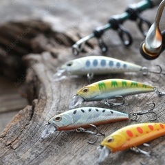 🎣一緒に釣りしませんか？🎣✨✨ - メンバー募集
