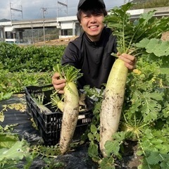 農業体験者募集中🧑‍🌾無料でお米やお野菜持って帰れます🥬