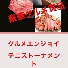 豪華賞品！　2月12日祝日初級ミックス4人団体戦　硬式テニス　グ...