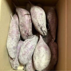 さつまいも🍠8