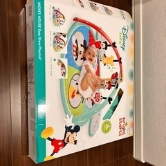 ディズニーベビー プレイマット ジム メリー ミッキー ミニー プルートの画像
