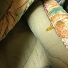 花柄コタツ敷マットの画像