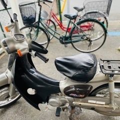 ホンダリトルカブ50CC➖HONDA LITTLE CUP 50CCの画像