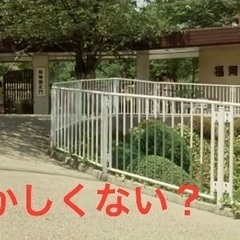 ゾウさん現在3頭になりました！『福岡市動物園』撮影及び観覧希望です‼️