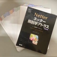 ネッター解剖学アトラス