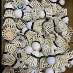 バドミントンシャトル　使用済み