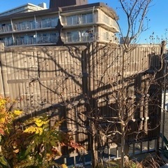 竹垣 建仁寺タイプ 6枚の画像