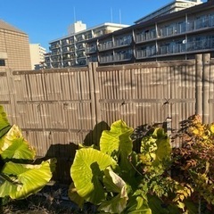 竹垣 建仁寺タイプ 6枚