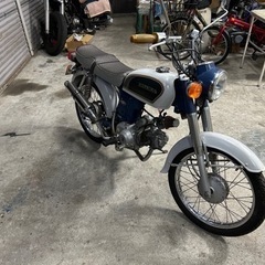 CD50の画像