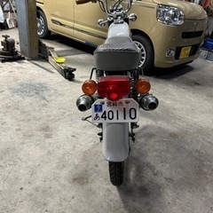 CD50の画像