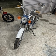 CD50の画像