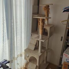 キャットタワー　
