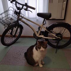 ⭐子供用自転車20インチ　白⭐　決まりました。