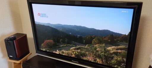 Panasonicのプラズマテレビをお売りします。型番 TH-P42G1