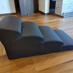 ペット用階段状クッション2個の画像