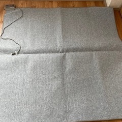 値下げしました　ホットカーペットの画像