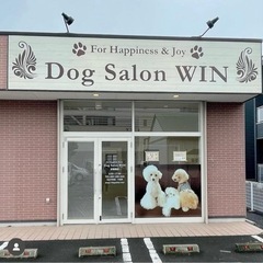 DogSalonWIN求人募集 トリミングサロンの画像