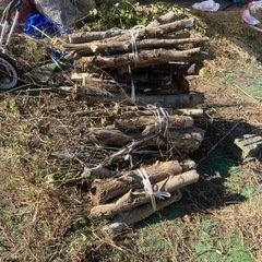 薪いりますか？の画像