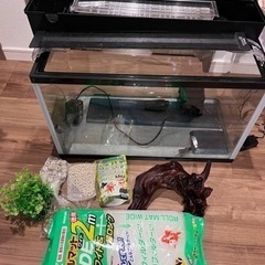 コトブキ プログレ600 60センチ水槽セット GEX