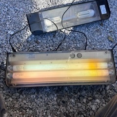 水槽のライト　GEX.コトブキまとめて3つの画像