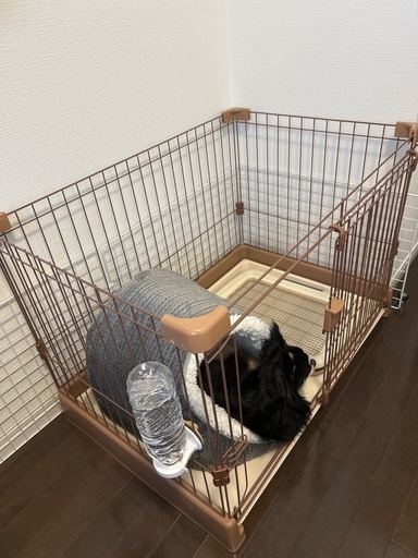 【小型犬ゲージ】【小型犬リュック(未使用)】
