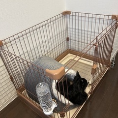 【小型犬ゲージ】【小型犬リュック(未使用)】